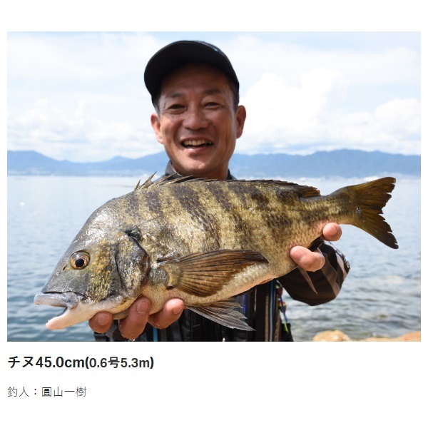 23がま磯 アテンダー3